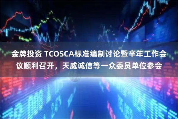 金牌投资 TCOSCA标准编制讨论暨半年工作会议顺利召开，天威诚信等一众委员单位参会