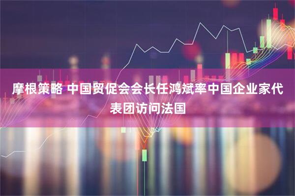 摩根策略 中国贸促会会长任鸿斌率中国企业家代表团访问法国